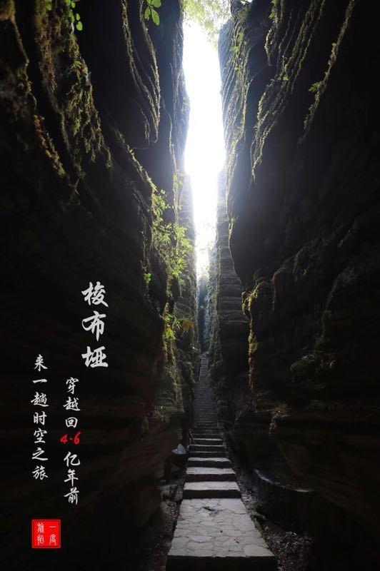 小猫钓鱼游戏龙王版有船