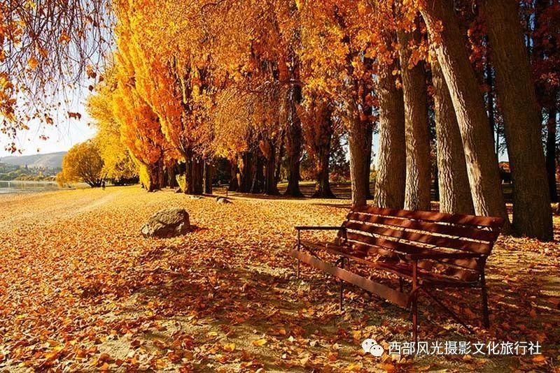 探索知识星球平台,了解你第一次相亲和对方在聊些什么?的精彩内容