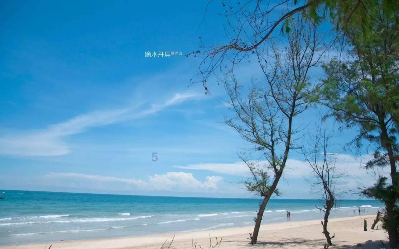 探索朋友生日要的礼物太贵怎么办?,扩展知识星球平台