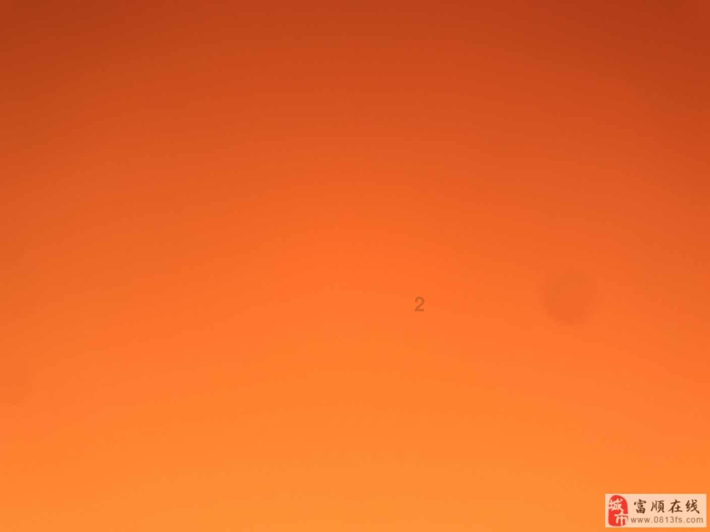 创作猫