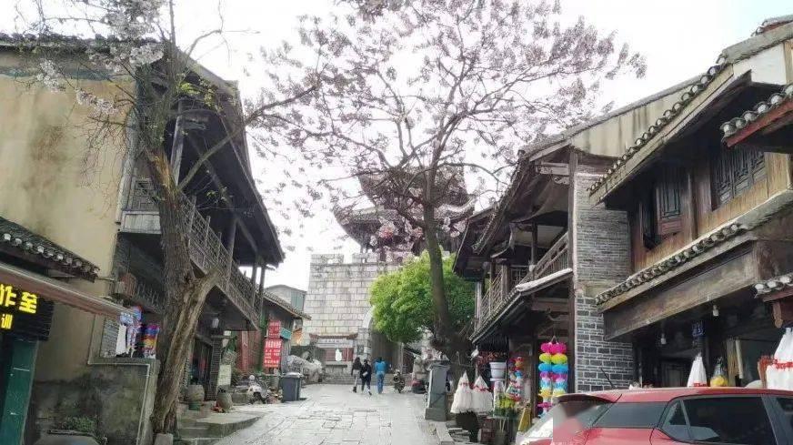 妙鸭相机app下载官网